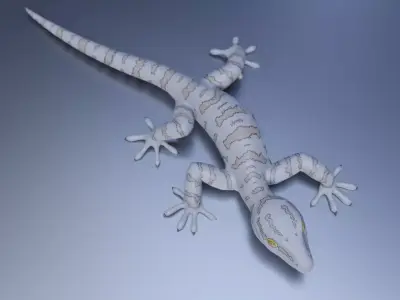 3D Gecko Low-poly 3D model