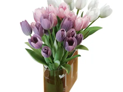 Flower Set 25 - White and Purple Tulips Bouquet 3D model