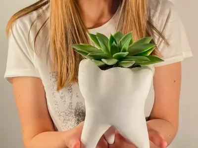 Tooth Dentist Vase 3D Print model 3D print model