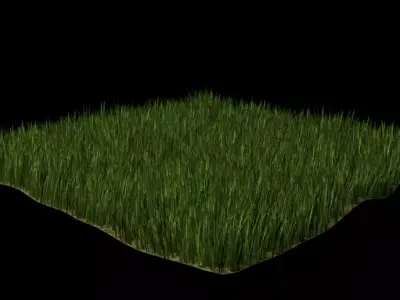 grass Free 3D model