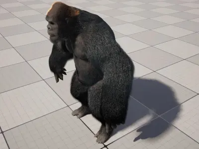 UE5 Gorilla Rigged Fur Low-poly 3D model