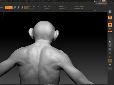 male monkey 3D model