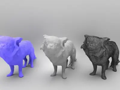 Chihuahua dog 24 Low-poly 3D model