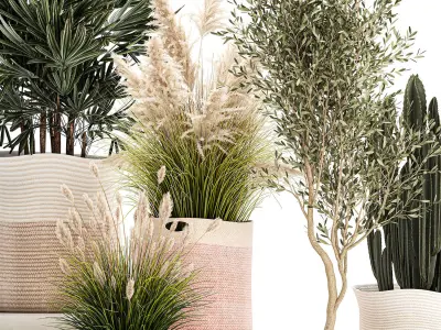 Ornamental plants in fabric baskets for decoration 1093 3D model