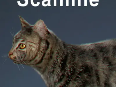 Domestic Cat with Fur 3D model