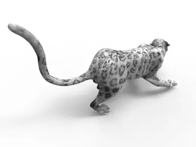 3D Snow leopard Rigged Model Low-poly 3D model