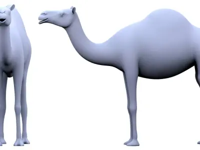 Camel  3D model Low-poly 3D model