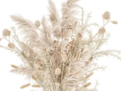 Luxury bouquet of reeds pampas grass and dried flowers 234 3D model
