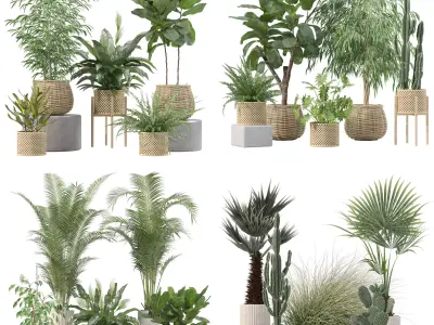 20 Photorealistic Flowers for Interiors - set 213 214 216 219 3D Model Collection