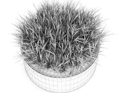 Decorative Grass 3D model