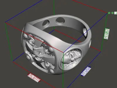 Skull ring jewelry for Bikers vol14 3D print model
