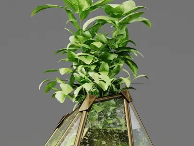 Decorative Fluval Anubias Plant 3D model