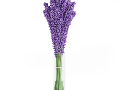 Violet Lupine in Glass Vase 3D model