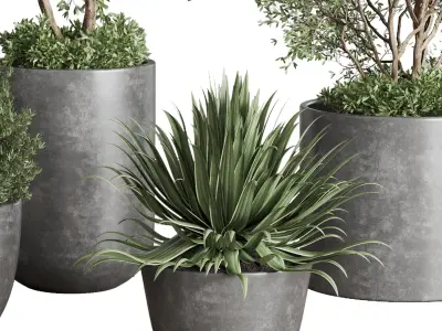 outdoor plant set 160 pot old tree bush palm in Low-poly 3D model