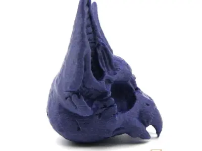 Bat Skull 3D print model