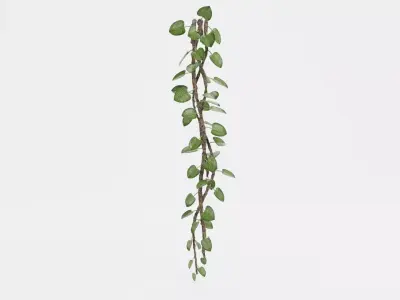 -Liana Plant V1- 3D model