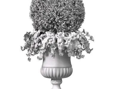 Boxwood with a flower bed in a classic garden marble vase urn 3D model