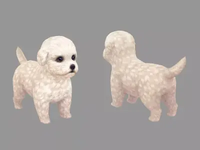 Cartoon pet puppy - Bichon - baby dog Low-poly 3D model