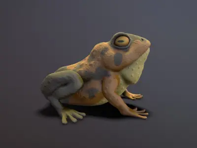 brown frog  Low-poly 3D model