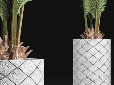 Plants Collection 155 Palm 3D model