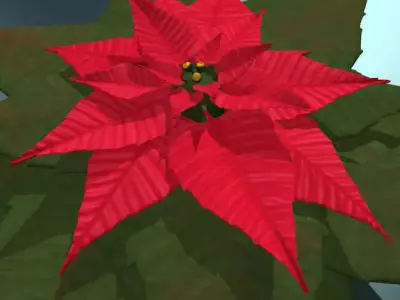 Poinsettia low poly Low-poly 3D model