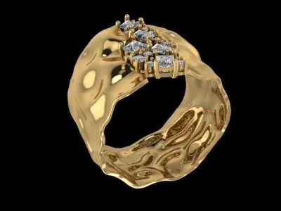 Water ring 3D print model