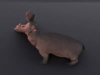 Animated hippopotamus 3D Model Low-poly 3D model