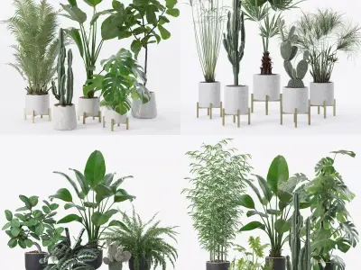 20 Photorealistic Flowers for Interiors - set 122 123 124 128 3D Model Collection