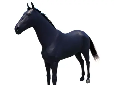 Black Horse    for real time and offline rendering  Low-poly 3D model