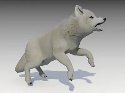 Artic Fox Low-poly 3D model
