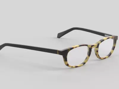 Onboard Eyewear Glasses Low-poly 3D model