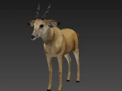 antelope Low-poly 3D model