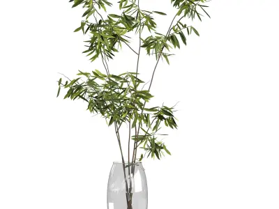 Ficus branches bouquet set 01 3D model