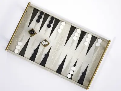 Shagreen Backgammon Game 3D model