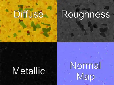 Yellow Ranunculus Flower Botanical model pack Low-poly 3D model