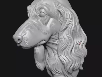 Afghan Hound 3D print model