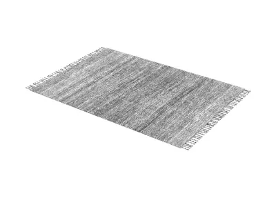 Carpet 3D model get