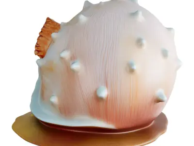 Fantasy Shell House Decor 3d print and game ready Low-poly 3D model