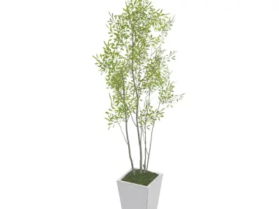 Amur Decorative Plant PBR 3D model