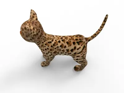 3d Pet Cat low poly game ready  Low-poly 3D model