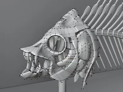 fish bone url khajo Low-poly 3D model