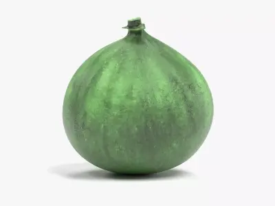 -Fig - Green- 3D model
