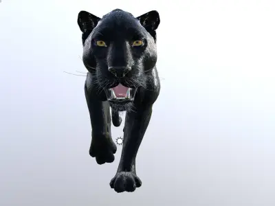 Panther -Lowpoly Animation Low-poly 3D model