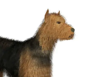 Street Dog 3D model