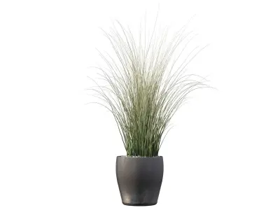 Grass artificial plant in vase 3D model