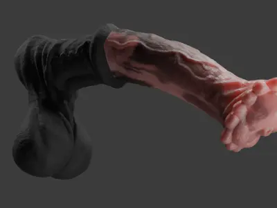 Anatomy Horse Rigged Penis Highpoly and Lowpoly Low-poly 3D model