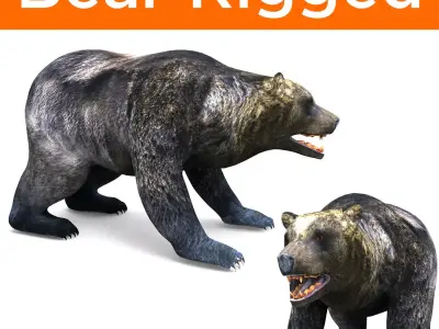 Black Bear Rigged 3D Models game Low-poly 3D model