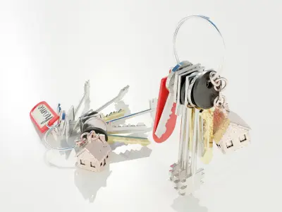 Bunch of Keys 3D model