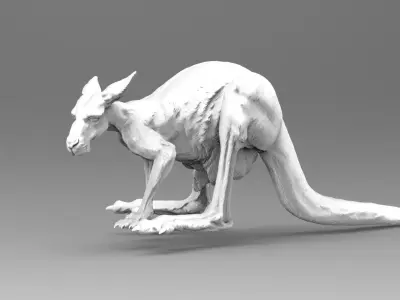 kangaroo 3D model