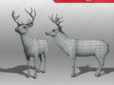 Deer whitetail Low-poly 3D model